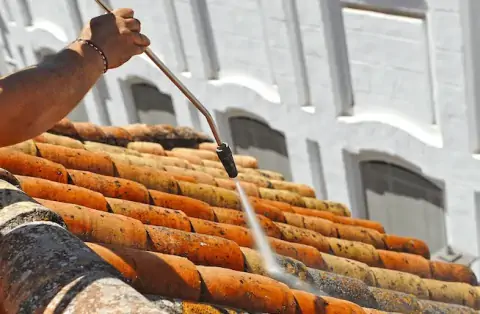 Nettoyage de toitures - Miserey